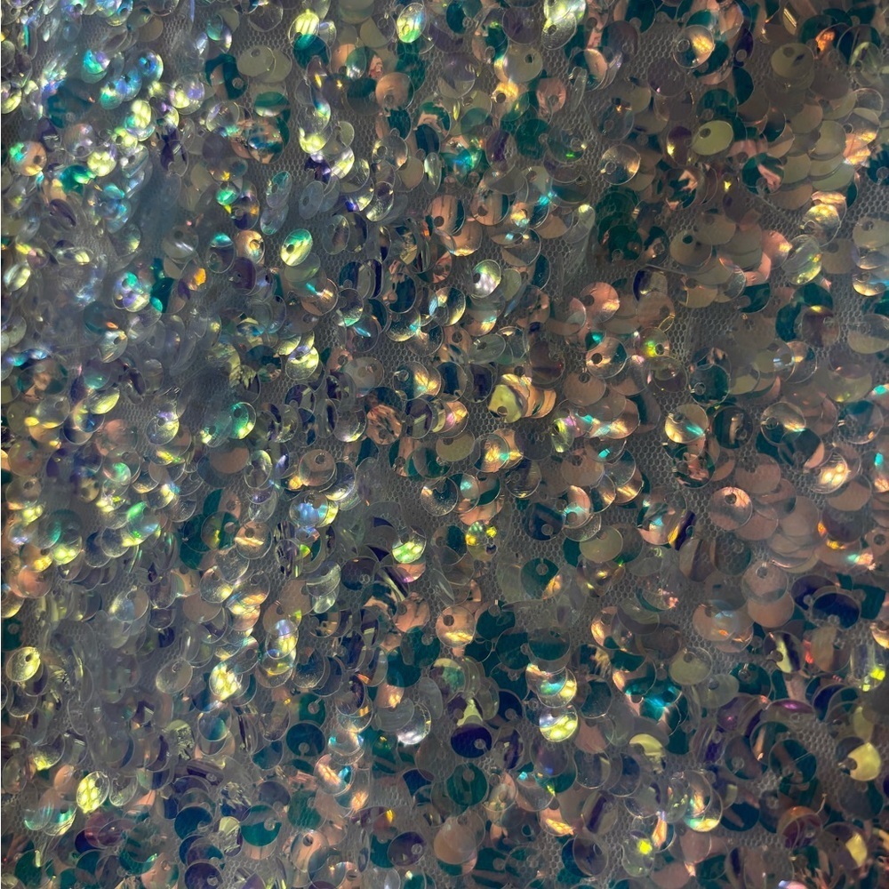 Endless Love Irridescent Sequin Skirt - Picture 4 of 6